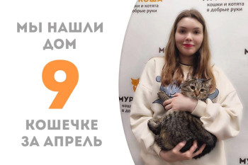 Четырехлетняя Фантеска стала домашней!