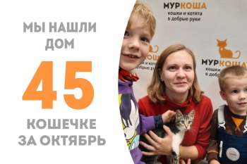 Фантола теперь домашняя!