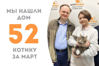 Котик Федя Пухов стал частью прекрасной семьи!