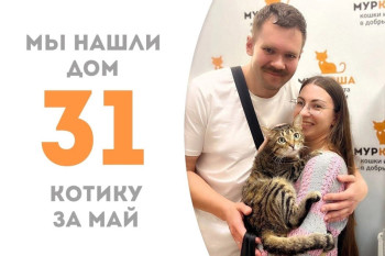 Кот Фелини обрёл новую семью!