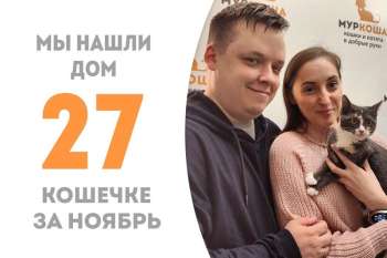 Через 3 с небольшим месяца Фэнси отправилась в домашнюю жизнь!