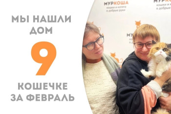 Кошечка Фифина обрела семью!