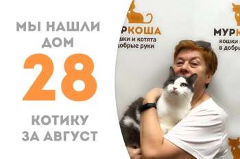 Филипп нашёл своего человека и мчит домой!