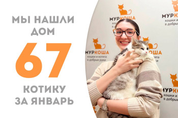 Двухлетний котик Финикс стал домашним любимчиком!