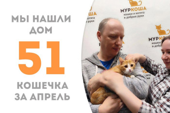 Кошечка Физалия стала частью прекрасной семьи!
