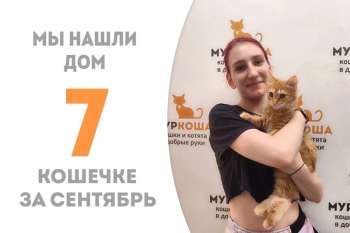 Чуть больше месяца понадобилось Фолье, чтобы обрести дом!