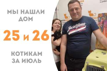 Фрам и Маркоша одновременно встретили своих людей и вместе едут покорять домашние просторы!