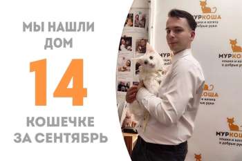 Меньше месяца понадобилось Фуджи, чтобы стать домашней!