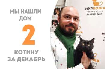Габси повстречался со своим человеком, пробыв в приюте менее 2 месяцев!