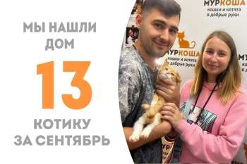 Гарфилд менее, чем за два месяца нашёл семью!