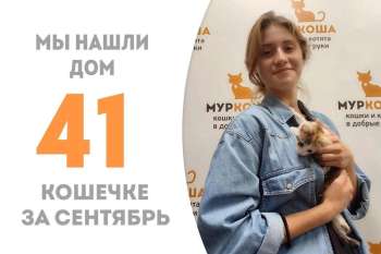 Гикори, проведя меньше месяца в приюте, едет домой к Чупе!