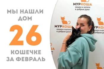 Кошечка Гольяночка отправилась домой!