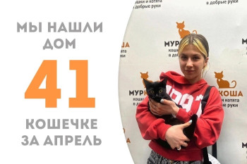 Кошечка Гречиха отправилась в новую жизнь!