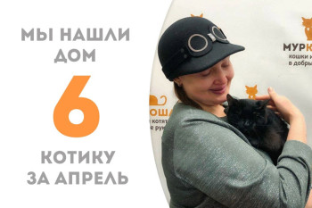 Наш особенный Грифель встретил своего человека!