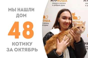 Всего 2 месяца Грильяж ждал своего счастья!