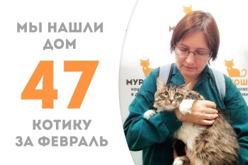 Котёнок Гришка наконец встретил свою хозяйку!
