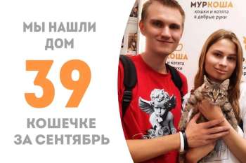 За 2,5 месяца Иока нашла семью!