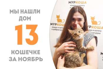 Ионика становится счастливой, не пробыв у нас и 3 месяцев!
