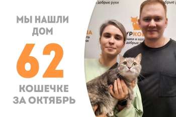 На 8-й день пребывания в приюте Ирисса встречает своих людей!