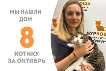 Кабасик стал домашним!