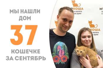 Чуть больше двух месяцев понадобилось Кантарии, чтобы обрести семью!