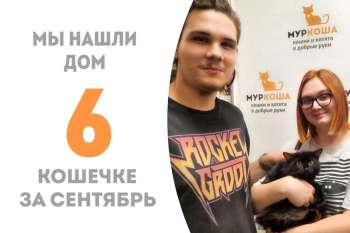 Капочка едет домой!