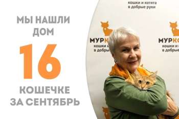 Чуть больше месяца прошло, и Карота дома!