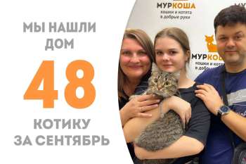 Кашпировский обрел дом и семейное счастье чуть больше, чем за три месяца!