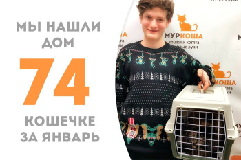 Годовалая кошечка Катана встретила своего человека и уехала домой!
