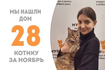 Три месяца понадобилось Кавиллу, чтобы встретить свою хозяйку!