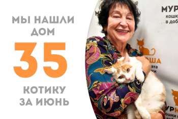 Кефирчик встретил замечательную хозяйку и стал домашним!