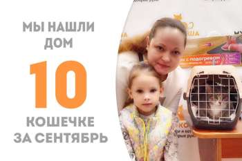 Кинтана стала домашней!