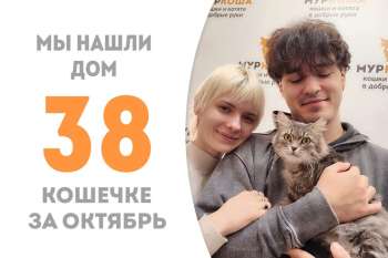 Не прошло и трёх месяцев, как очаровательная Кириешка встретила свою семью и уболтала забрать её домой!