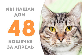 Трехлетняя Киза обрела семью!