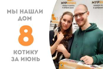 Юный Коперник стал первооткрывателем домашней жизни!