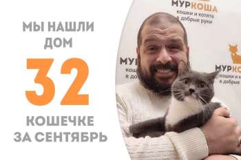 Кнелли стала по-настоящему домашней!