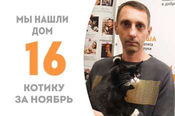 Кнопкин нашёл доброго хозяина, пробыв у нас 3 месяца!