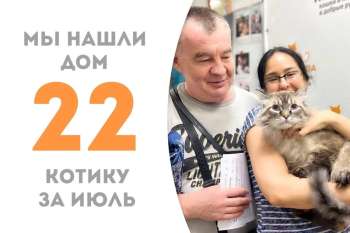 Не прошло и двух недель как Князь Болконский обрёл дом и семью!