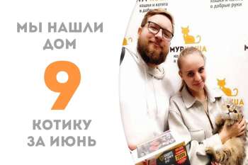Кнютт обрел дом меньше, чем за два месяца.