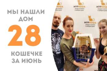 Колетт снова обрела дом и семью!