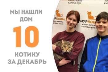 Компотик дождался свою семью!