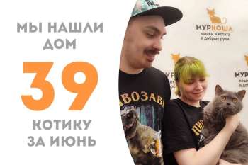 Прошло немногим больше одного месяца, а Контрабас уже музицирует дома!