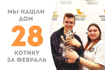 У котика Крайсона теперь есть дом и семья!