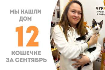 Крем Сода снова домашняя!