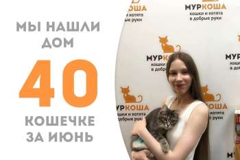 Всего месяц с небольшим прошёл, а Кротесся по-настоящему домашняя!