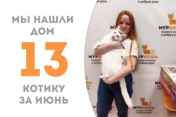 Роскошный котик Крутс встретил чудесную хозяйку!