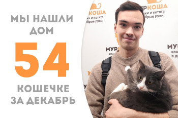 Годовалая Кукушка под самый Новый год дождалась своего человека!