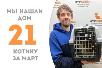 Рыжий Кумир уехал в новый дом!