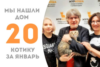 Годовалый котик Курабье отправился в домашнюю жизнь!