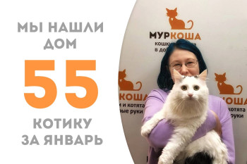 Пятилетний котик Кузичка стал домашним хранителем очага!